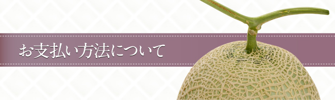 お支払い方法について