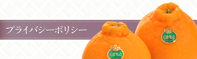 プライバシーポリシー